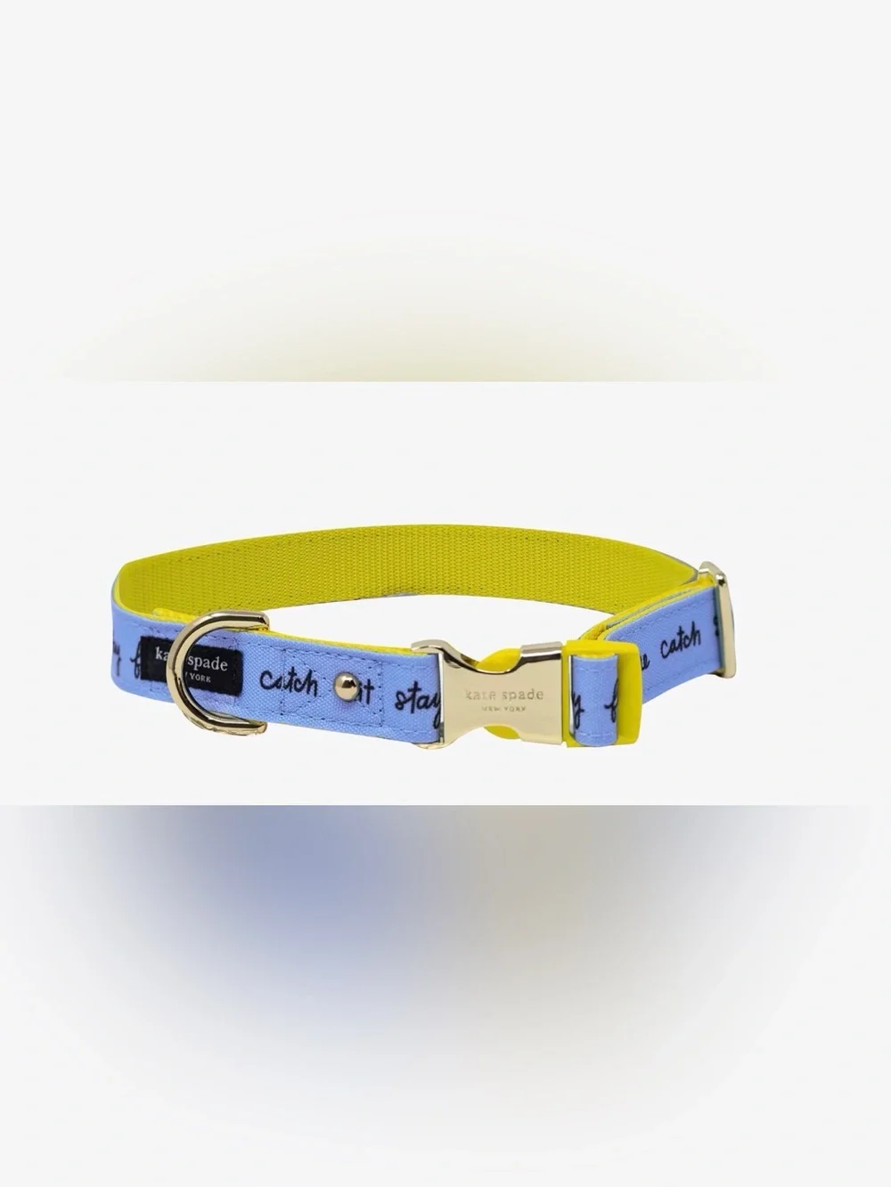 kate spade Raining Cats And Dogs Collar (m/l)